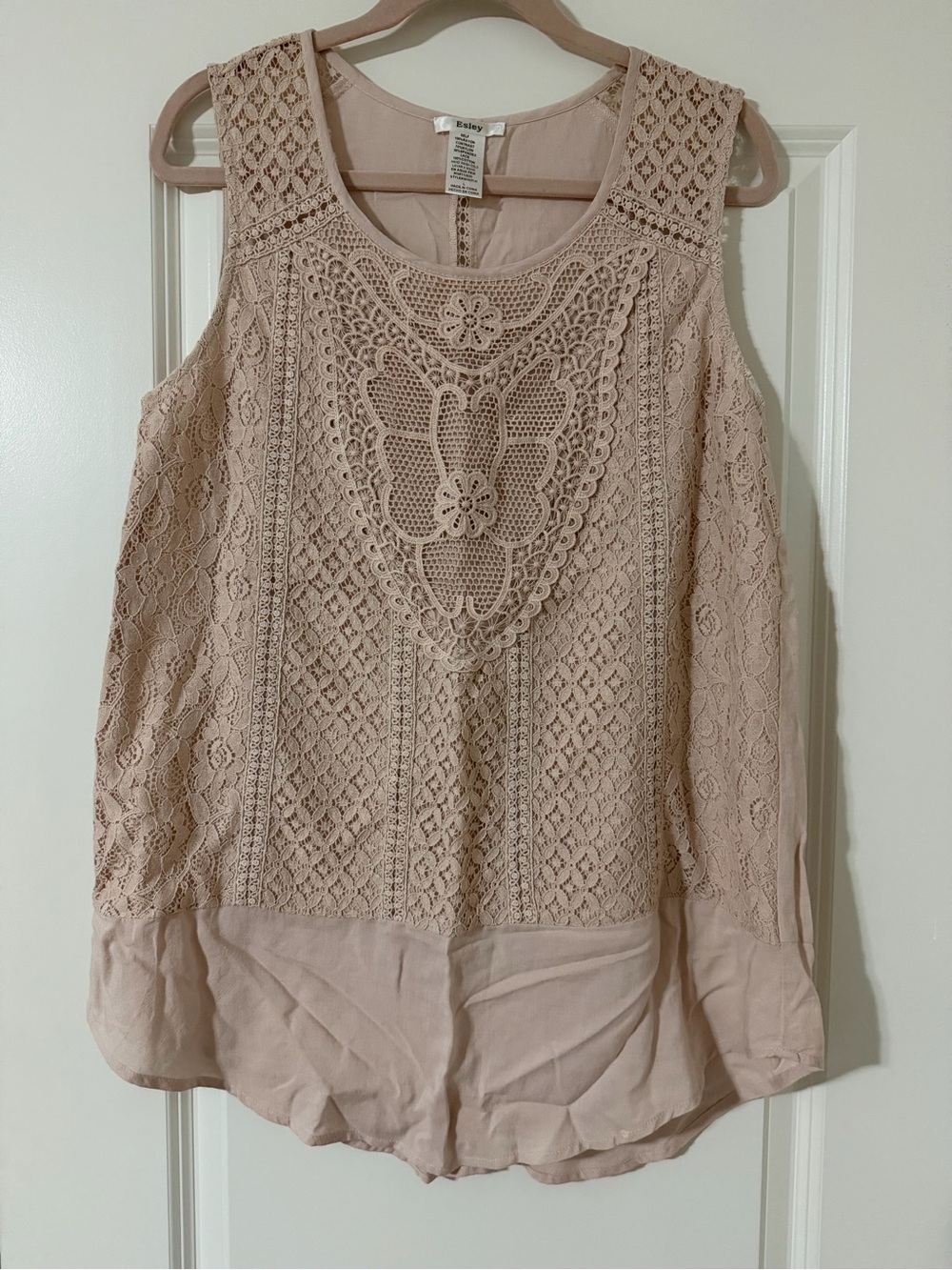 Lace Blouse in Blush (Boutique find)